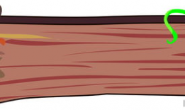 木板漫画,幽默与智慧的碰撞